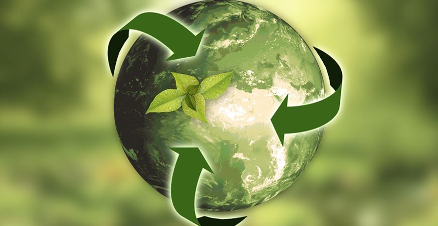 Projeto Educação Ambiental